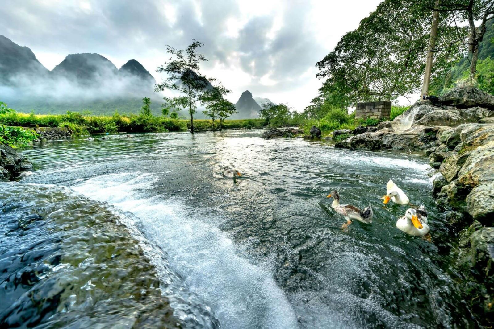 canh-vat-thanh-binh-trong-tour-xe-jeep-cao-bang